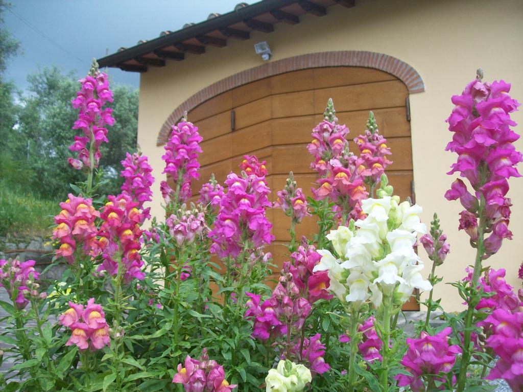 Matraia La Casa Dei Limoni 아파트 외부 사진