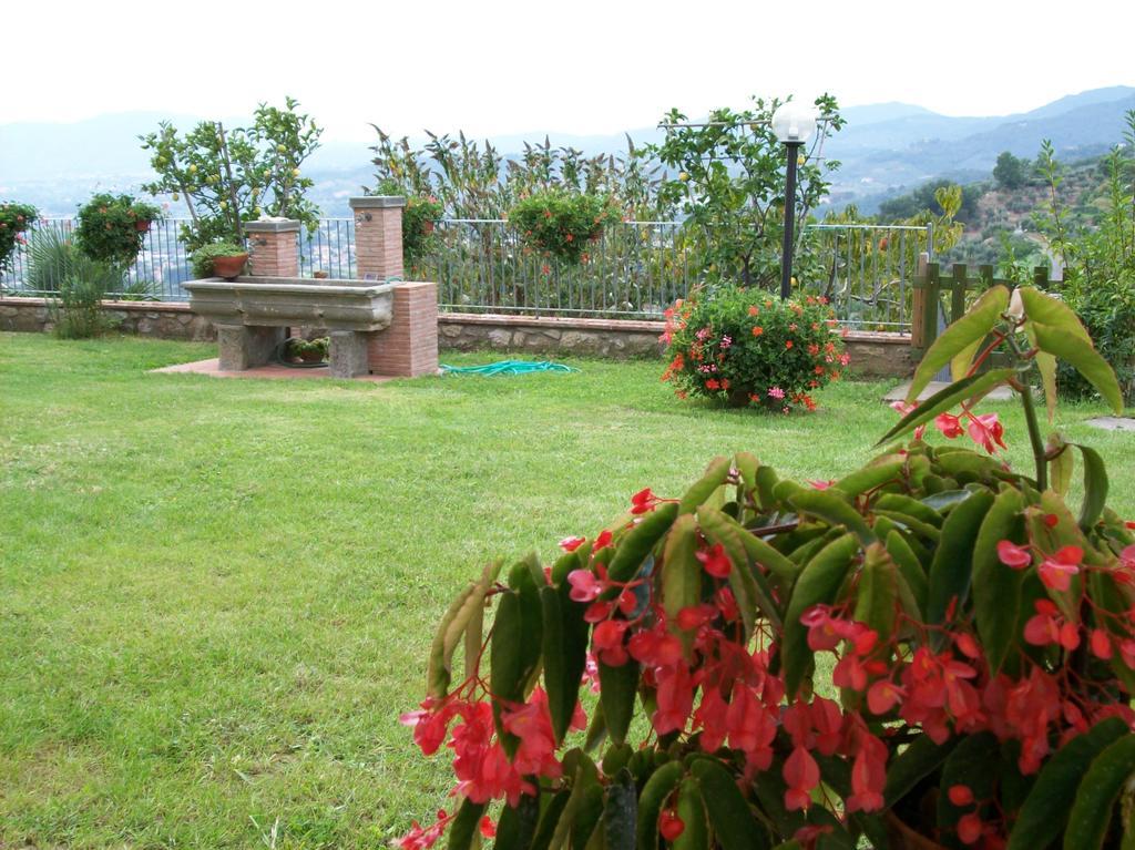Matraia La Casa Dei Limoni 아파트 외부 사진
