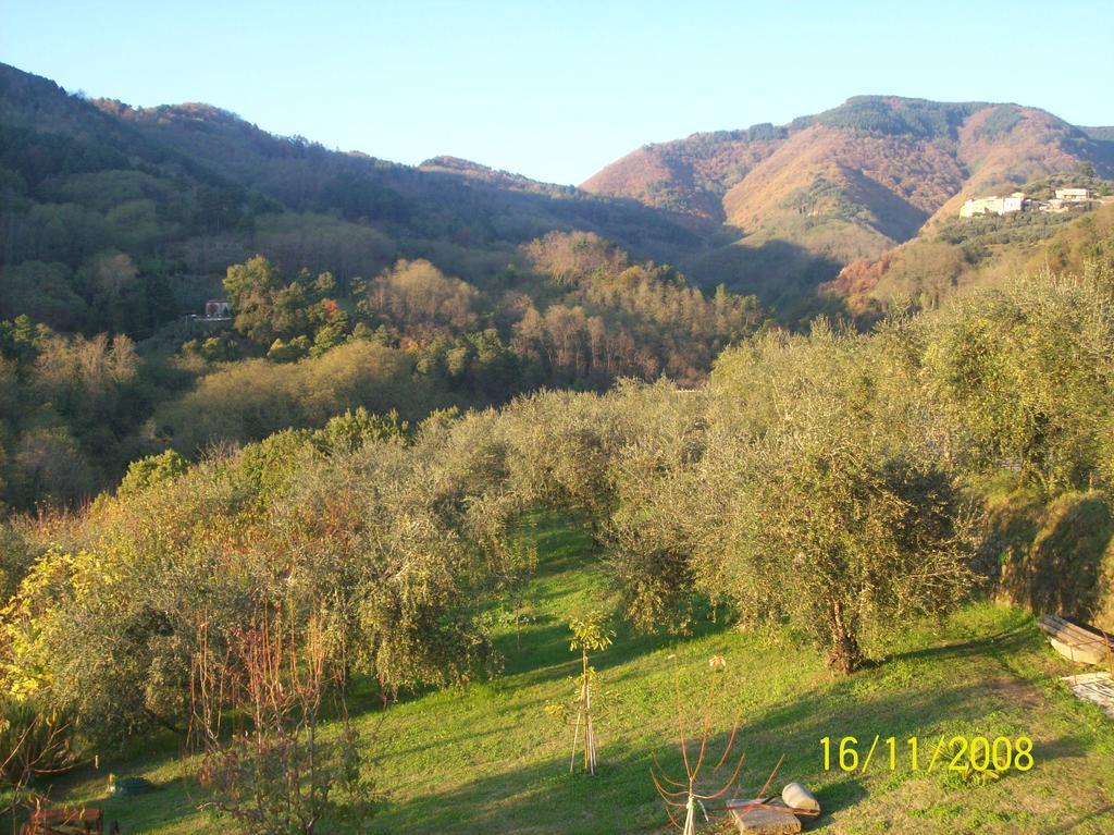 Matraia La Casa Dei Limoni 아파트 외부 사진