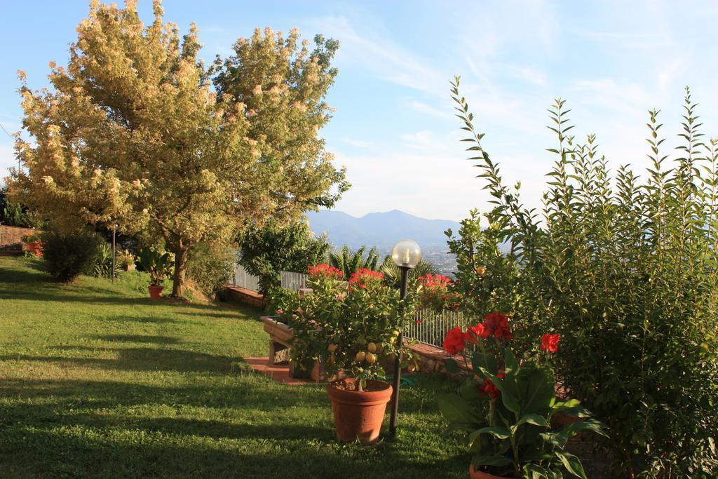 Matraia La Casa Dei Limoni 아파트 외부 사진